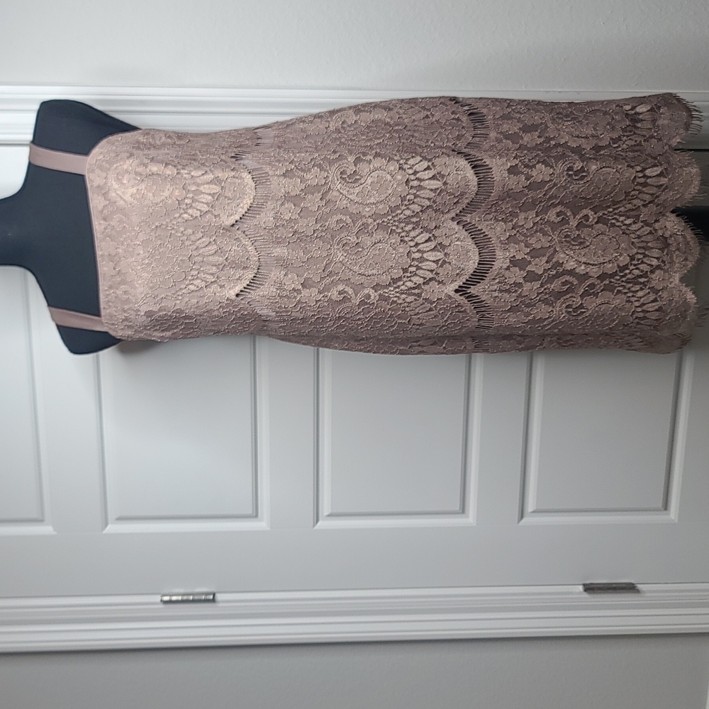 R&M Richard's Petite Beige Sleeveless Lace Shift Dress Size 6